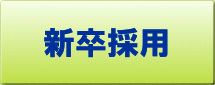 新卒採用